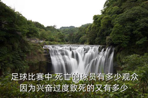  足球比賽中 死亡的球員有多少觀眾因?yàn)榕d奮過(guò)度致死的又有多少