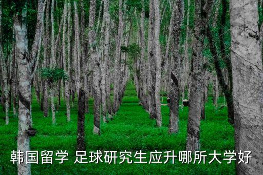 韓國留學(xué) 足球研究生應(yīng)升哪所大學(xué)好