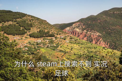 為什么 steam上搜索不到 實況 足球