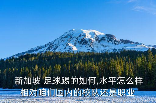  新加坡 足球踢的如何,水平怎么樣相對咱們國內(nèi)的校隊還是職業(yè)