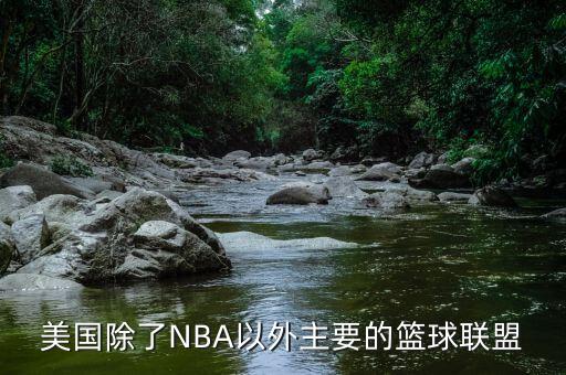 美國除了NBA以外主要的籃球聯盟