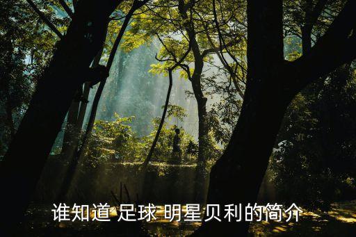 誰知道 足球 明星貝利的簡(jiǎn)介