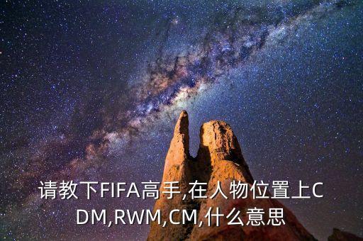 請(qǐng)教下FIFA高手,在人物位置上CDM,RWM,CM,什么意思