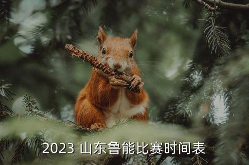 2023 山東魯能比賽時(shí)間表