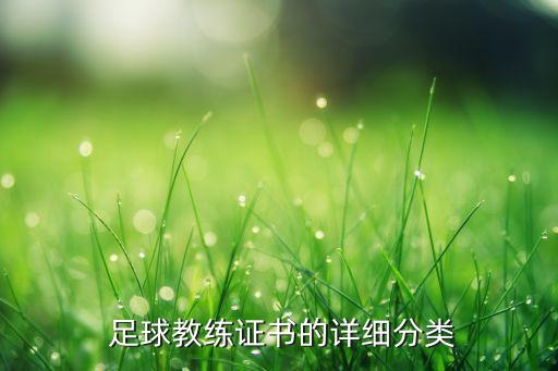  足球教練證書的詳細(xì)分類