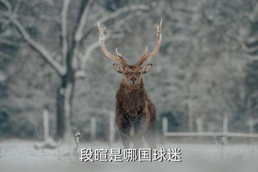 巴喬 天下足球 段暄,天下足球主持人段暄