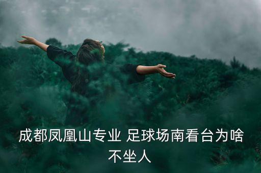  成都鳳凰山專業(yè) 足球場南看臺為啥不坐人