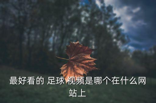 最好看的 足球 視頻是哪個在什么網(wǎng)站上