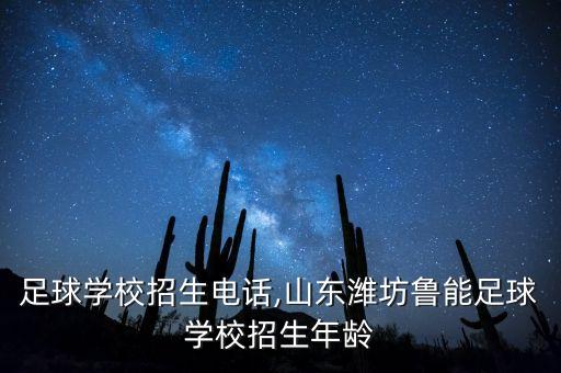 濰坊足球?qū)W校招生電話,山東濰坊魯能足球?qū)W校招生年齡