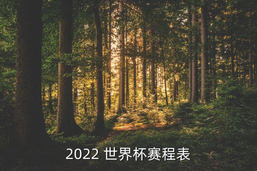 2022 世界杯賽程表