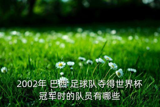 2002年 巴西 足球隊奪得世界杯冠軍時的隊員有哪些