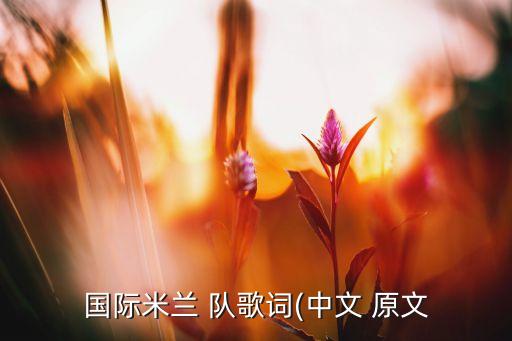 蘇寧足球隊(duì)隊(duì)歌歌詞