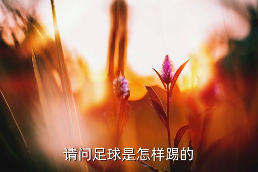 請(qǐng)問(wèn)足球是怎樣踢的