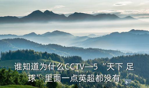 誰知道為什么CCTV—5“天下 足球”里面一點英超都沒有