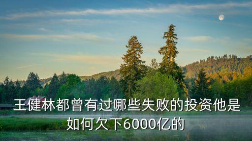  王健林都曾有過哪些失敗的投資他是如何欠下6000億的