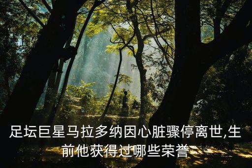 足壇巨星馬拉多納因心臟驟停離世,生前他獲得過哪些榮譽