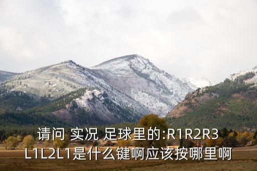 請問 實況 足球里的:R1R2R3L1L2L1是什么鍵啊應(yīng)該按哪里啊