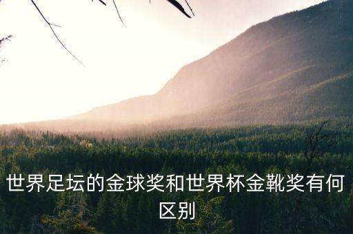 足球什么獎(jiǎng)項(xiàng),足球后衛(wèi)有什么獎(jiǎng)項(xiàng)