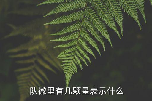 上港足球隊(duì)隊(duì)徽,世界各國(guó)足球隊(duì)隊(duì)徽