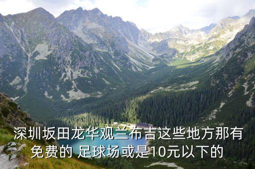  深圳坂田龍華觀蘭布吉這些地方那有免費(fèi)的 足球場或是10元以下的