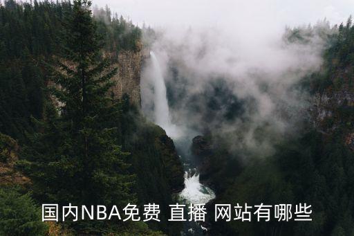 國內(nèi)NBA免費(fèi) 直播 網(wǎng)站有哪些