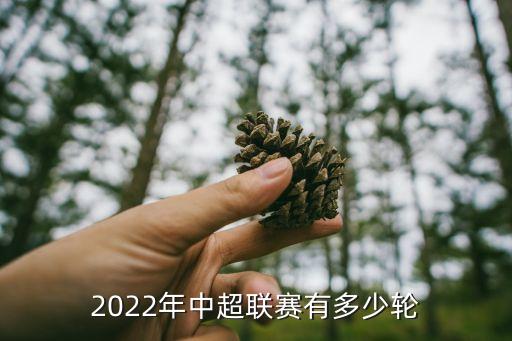 2022年中超聯(lián)賽有多少輪