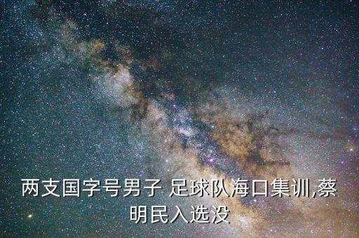 大連足球隊(duì)員黃成,2023年大連足球隊(duì)員