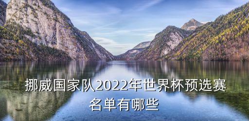  挪威國(guó)家隊(duì)2022年世界杯預(yù)選賽名單有哪些