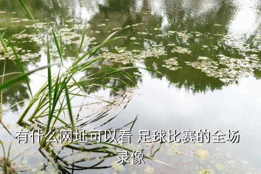 有什么網(wǎng)址可以看 足球比賽的全場 錄像