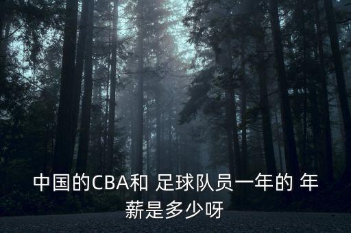 中國的CBA和 足球隊員一年的 年薪是多少呀