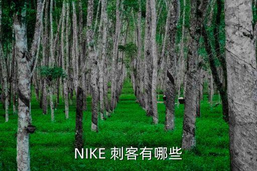 NIKE 刺客有哪些