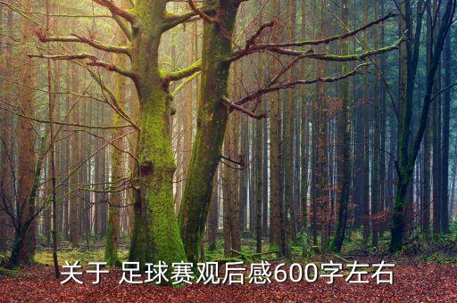 關于 足球賽觀后感600字左右