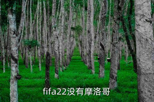 fifa22沒有摩洛哥