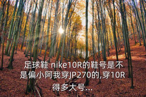 nike足球鞋碼數(shù),Nike足球鞋系列