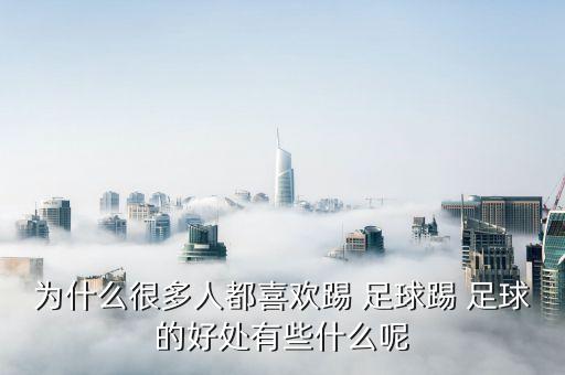 為什么很多人都喜歡踢 足球踢 足球的好處有些什么呢