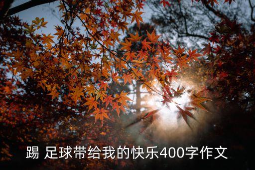 踢 足球帶給我的快樂400字作文