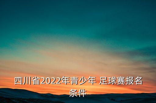 四川省2022年青少年 足球賽報(bào)名條件