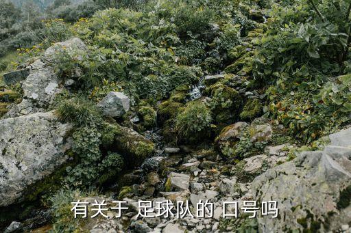 中國(guó)足球加油口號(hào),為中國(guó)足球加油的歌曲