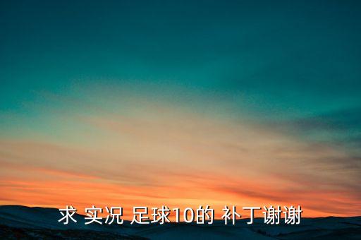 實(shí)況足球10球場補(bǔ)丁