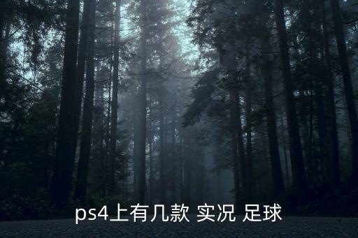 實(shí)況足球2019更新dlc3.0,Ps4實(shí)況足球2019能更新嗎