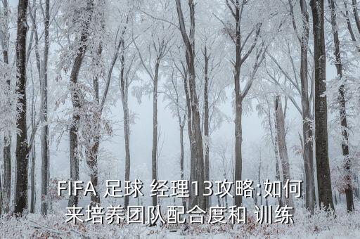 FIFA 足球 經(jīng)理13攻略:如何來(lái)培養(yǎng)團(tuán)隊(duì)配合度和 訓(xùn)練