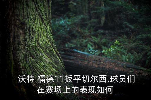  沃特 福德11扳平切爾西,球員們在賽場上的表現(xiàn)如何