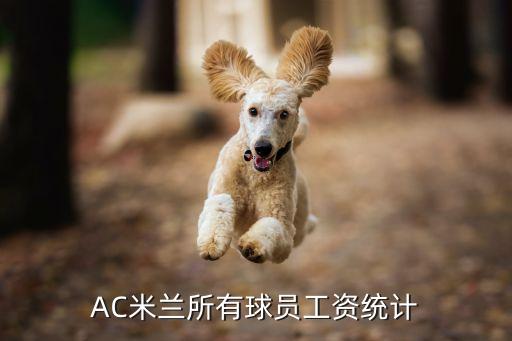 AC米蘭所有球員工資統(tǒng)計