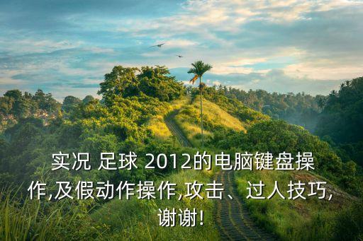  實況 足球 2012的電腦鍵盤操作,及假動作操作,攻擊、過人技巧,謝謝!