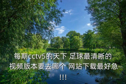 每期cctv5的天下 足球最清晰的 視頻版本要去哪個 網(wǎng)站下載最好急!!!