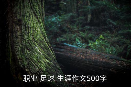 職業(yè) 足球 生涯作文500字