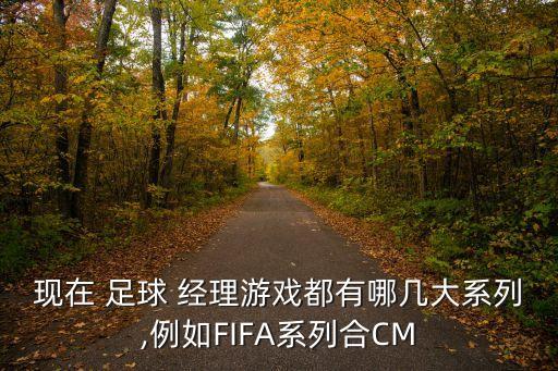 現(xiàn)在 足球 經(jīng)理游戲都有哪幾大系列,例如FIFA系列合CM