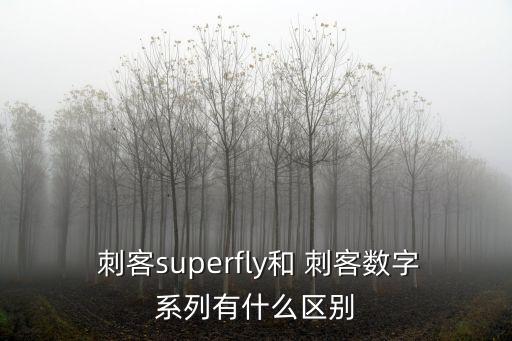  刺客superfly和 刺客數(shù)字系列有什么區(qū)別