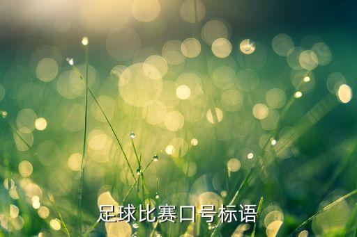 足球比賽口號(hào)標(biāo)語