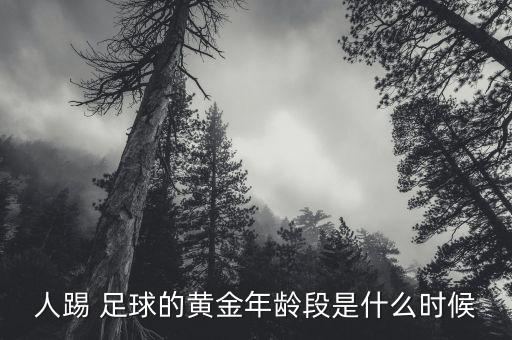 人踢 足球的黃金年齡段是什么時(shí)候